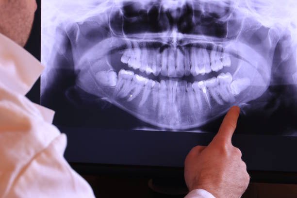 Best Emergency X-Rays and Diagnostics in Stony Point, MI